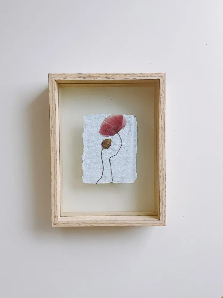 63b9913574911_images_large